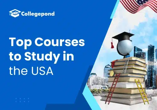 Top Courses to Study in the USA Blog 2025